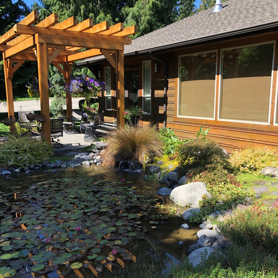 Pergola and Landscaping