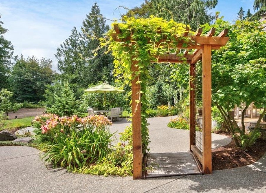 Pergola at Dutchers Cove